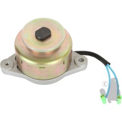 Alternateur adaptable KUBOTA 12V, 14A, à aimants permanents