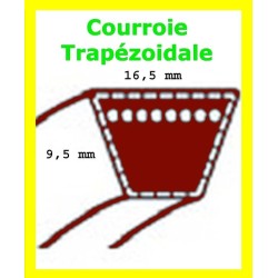 courroie pour scarificateur dori SC520 PRO